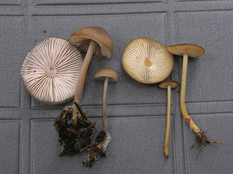 Qualche segno di vita....